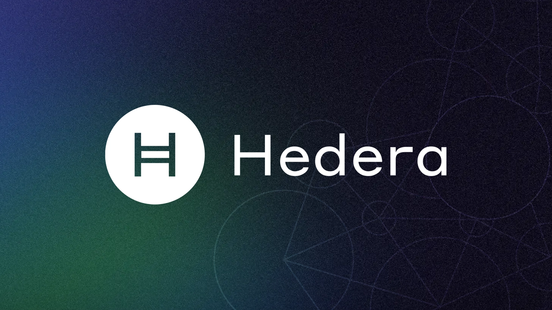 Hedera Network